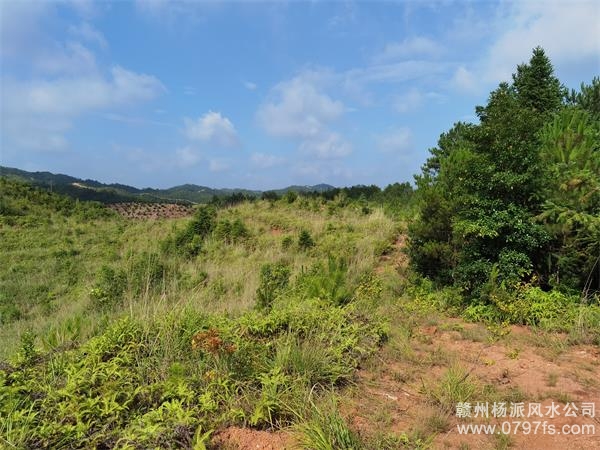 福州市带着徒弟上山学杨公风水现场操作