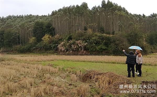 福州市陈老师带着爱徒寻龙点穴